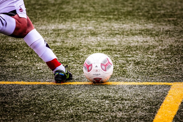 他们的年轻 他们的年轻