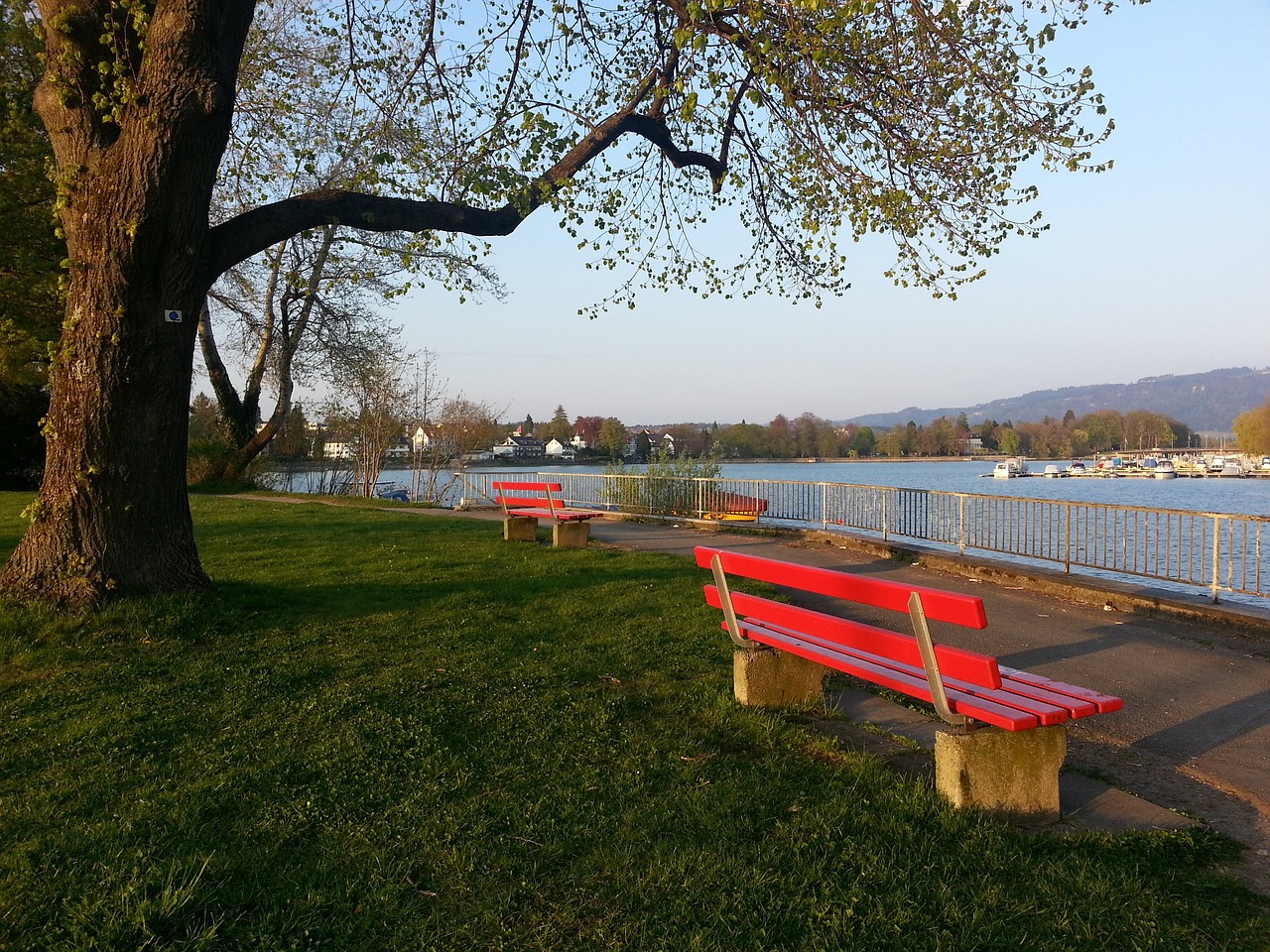 己的首发位 己的首发位