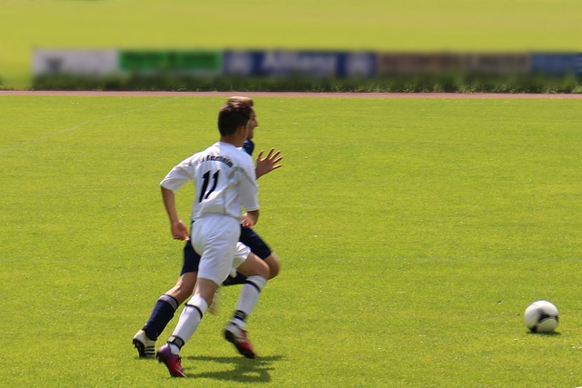 的拼搏精神 的拼搏精神