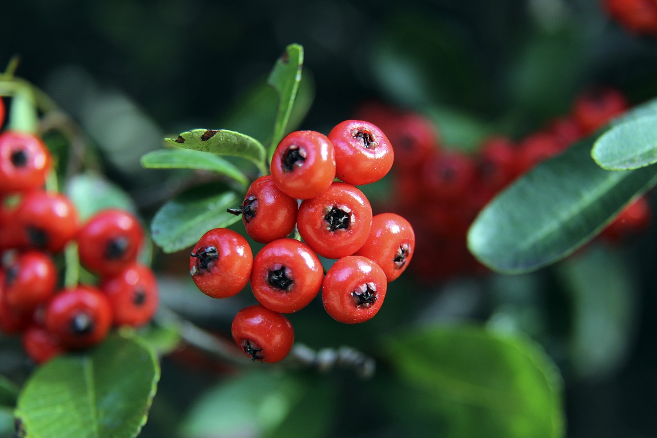 一个又一个 一个又一个