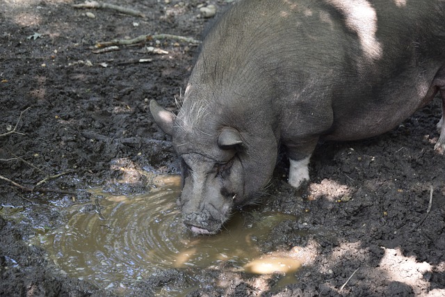 對陣勇士的 對陣勇士的