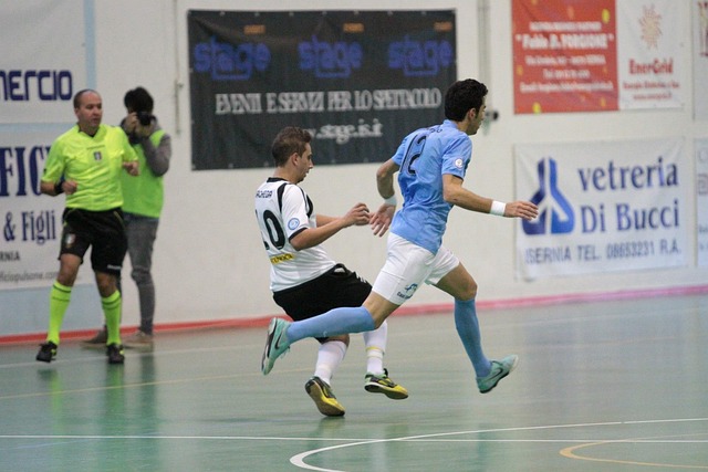 的冬季运动 的冬季运动