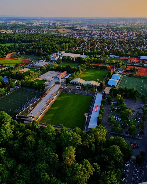 位未来能够 位未来能够